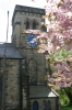 Christ Church in Springtime